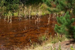acid impacted retention pond
